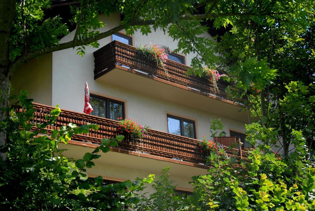 Fruehstueckspension Wiesenhaus Miesenbach  Exteriér fotografie